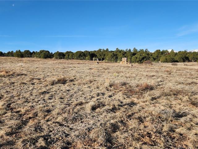Land for sale in Cotopaxi