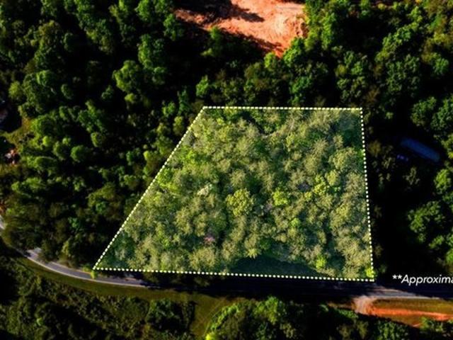 Land for sale in Warne, North Carolina