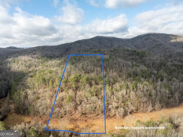 Land for sale in Gilmer, Georgia