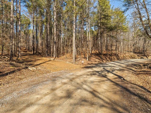 Land for sale in Murray, Georgia