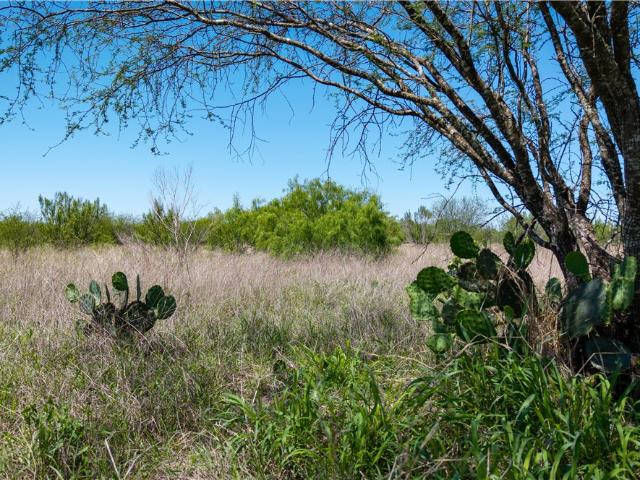 Land for sale in Alice, Texas