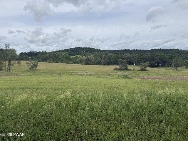 Land for sale in Equinunk, Pennsylvania