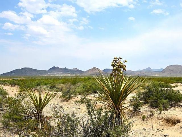 House for sale in Pecos