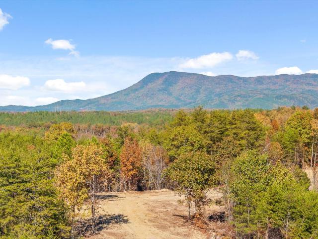 Land for sale in Murray, Georgia