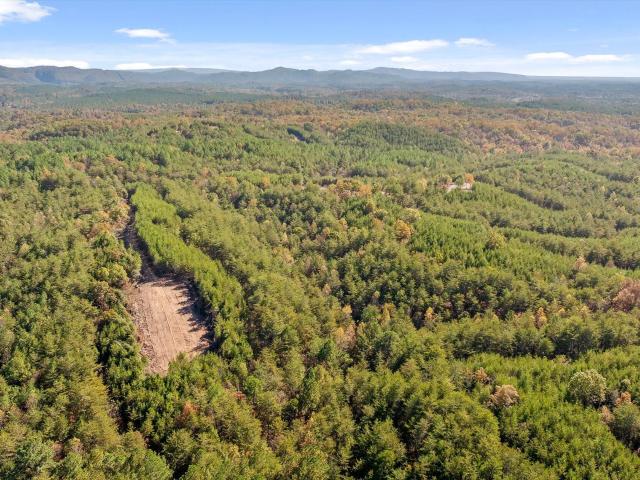 Land for sale in Murray, Georgia