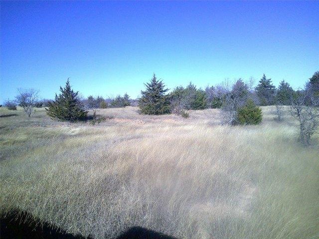 Land for sale in Wise, Texas