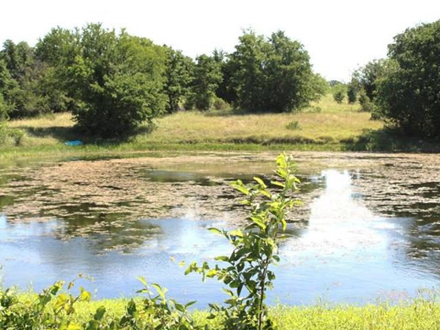Land for sale in Sunset, Texas