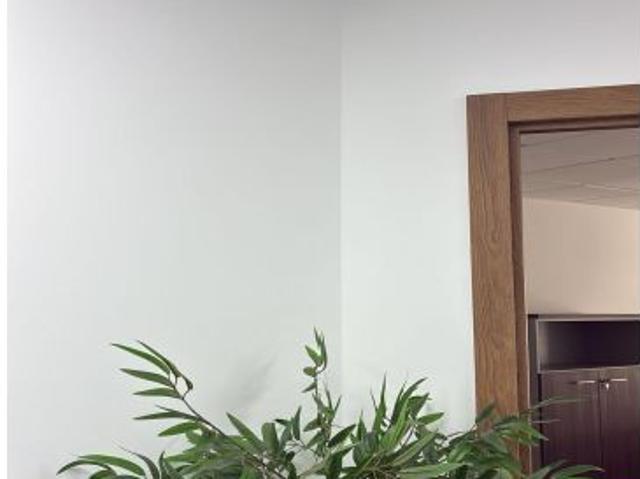 Local Comercial en alquiler en Ciutat Vella, Comarca de València