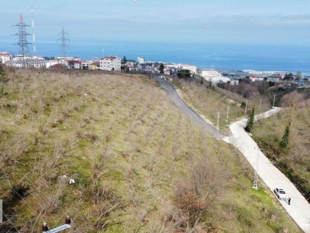Trabzon içerisinde satılık Dükkan