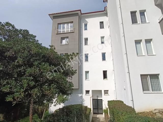Çamoba Mahallesi, Ortahisar içerisinde kiralık mülk