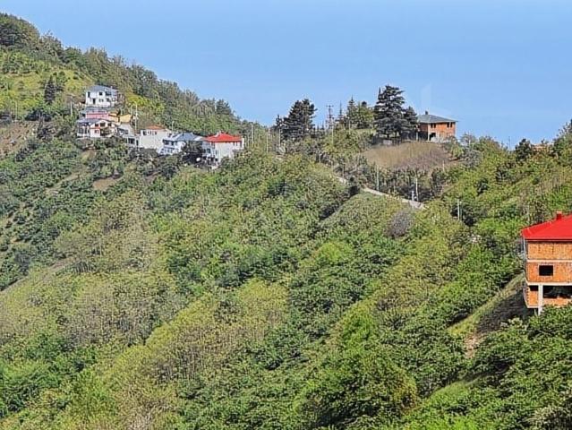Kaleköy, Çarşıbaşı içerisinde satılık mülk