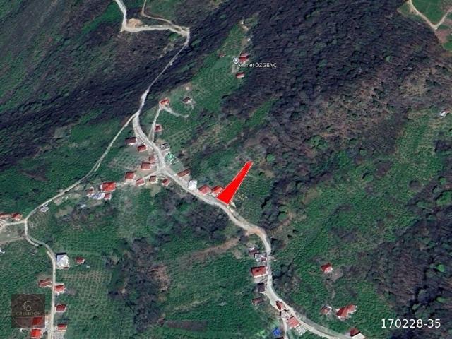 Arakli, Trabzon içerisinde satılık mülk