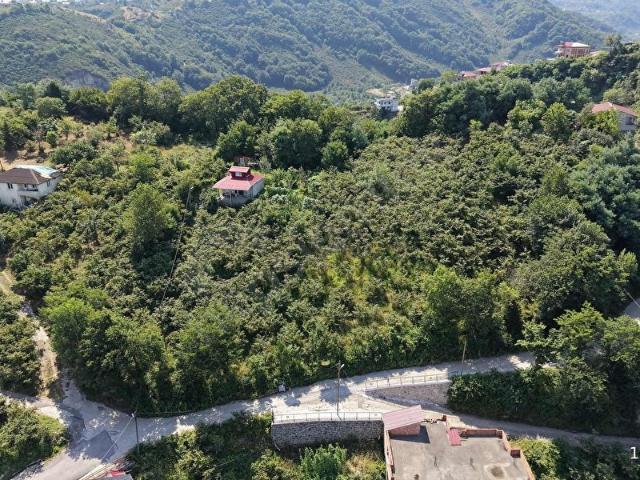 Arsin, Trabzon içerisinde satılık mülk
