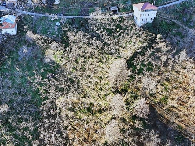 Arsin, Trabzon içerisinde satılık mülk