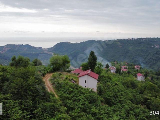 Arsin, Trabzon içerisinde satılık mülk