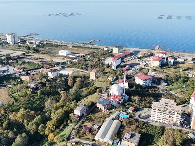 Arsin, Trabzon içerisinde satılık mülk