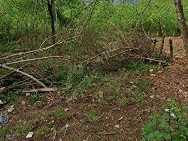 Arsin, Trabzon içerisinde satılık mülk