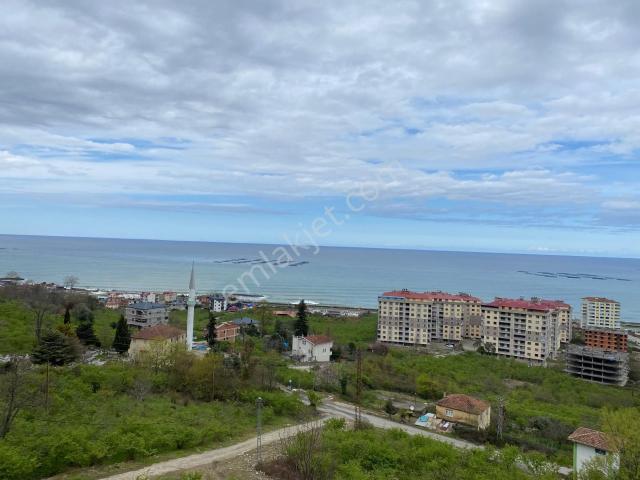 Arsin, Trabzon içerisinde satılık mülk