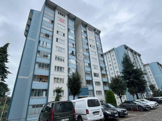 Trabzon içerisinde kiralık mülk