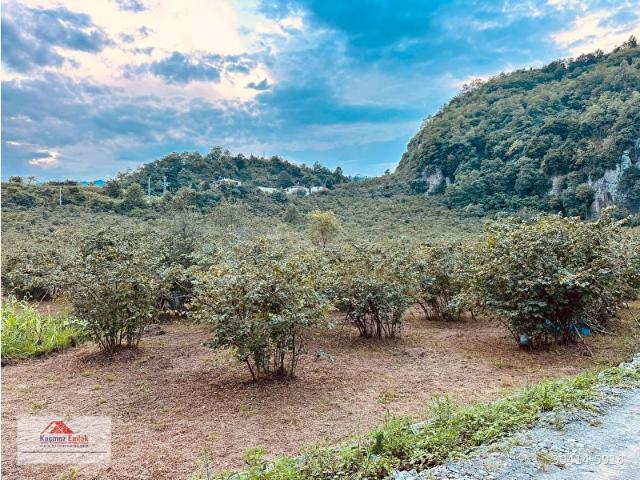 Trabzon, Ortahisar içerisinde satılık mülk