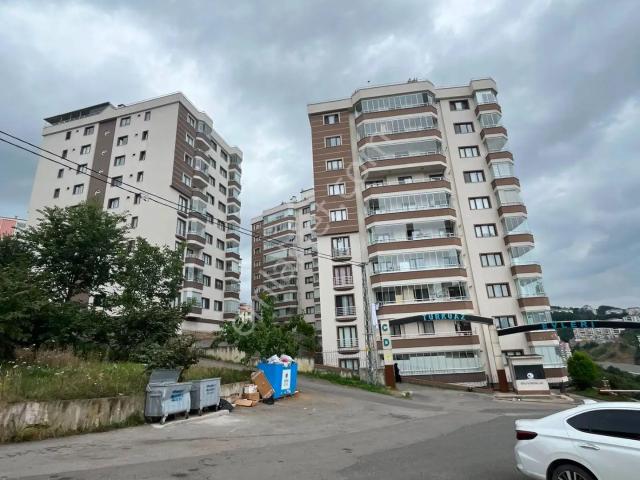 Çamlık, Ortahisar içerisinde satılık mülk
