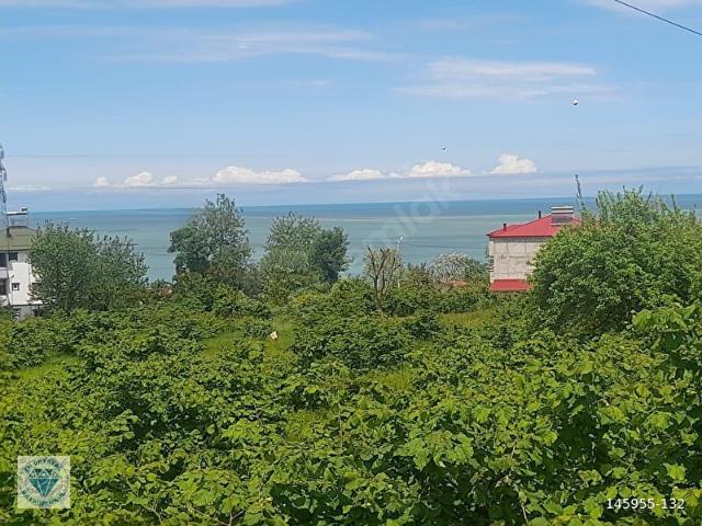 Yalıköy, Vakfıkebir içerisinde satılık mülk