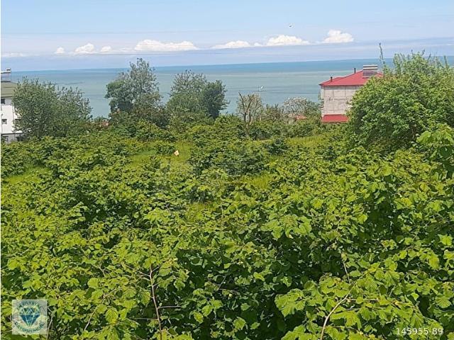 Yalıköy, Vakfıkebir içerisinde satılık mülk