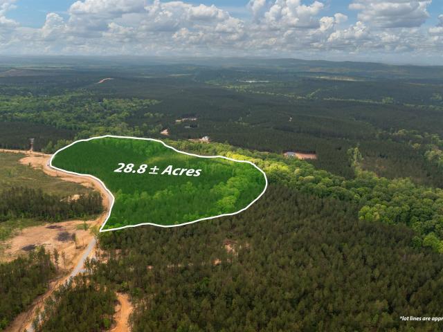 Land for sale in Columbiana, Alabama