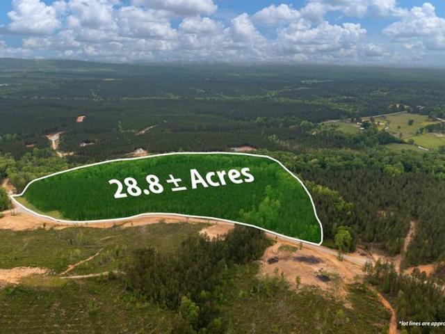 Land for sale in Columbiana, Alabama