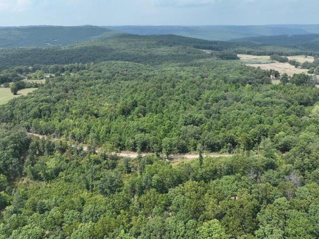 Land for sale in Clinton, Van Buren County