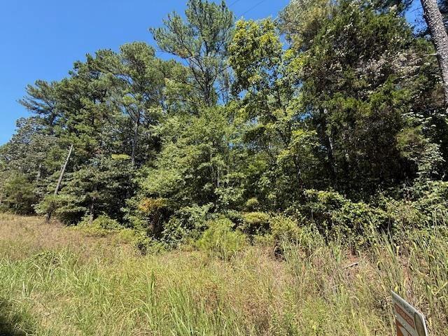 Land for sale in Tennessee