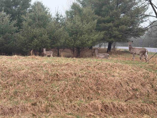 Land for sale in Wagarville, Michigan