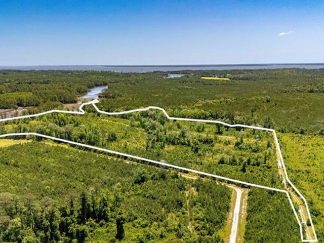 Land for sale in Oriental, North Carolina