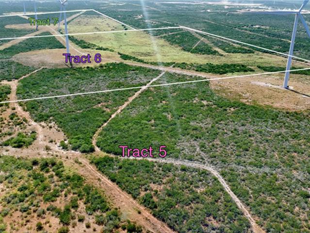 Land for sale in Bruni, Texas