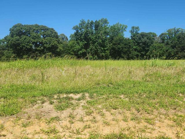 Land for sale in Ark