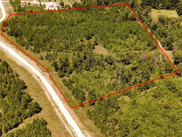 Land for sale in Lovelady, Texas