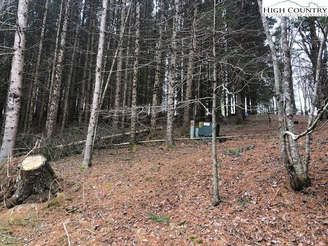 Land for sale in Watauga, North Carolina