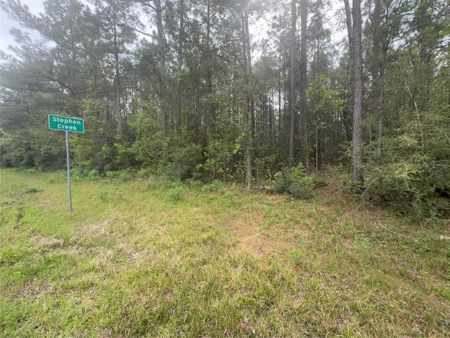 Land for sale in Point Blank, Coldspring