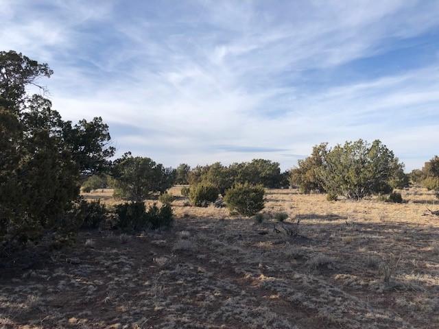 Land for sale in Corona, Torrance County