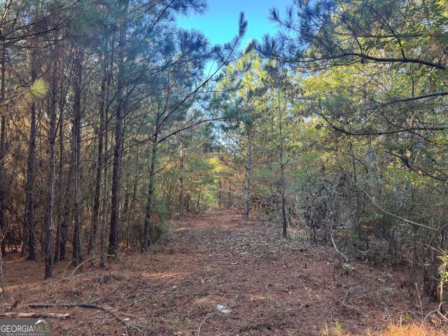 Land for sale in Franklin, Heard County