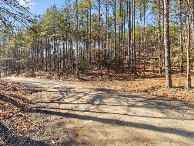 Land for sale in Murray, Georgia