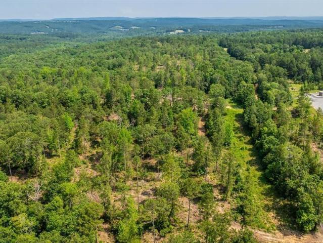 Land for sale in Clinton, Van Buren County