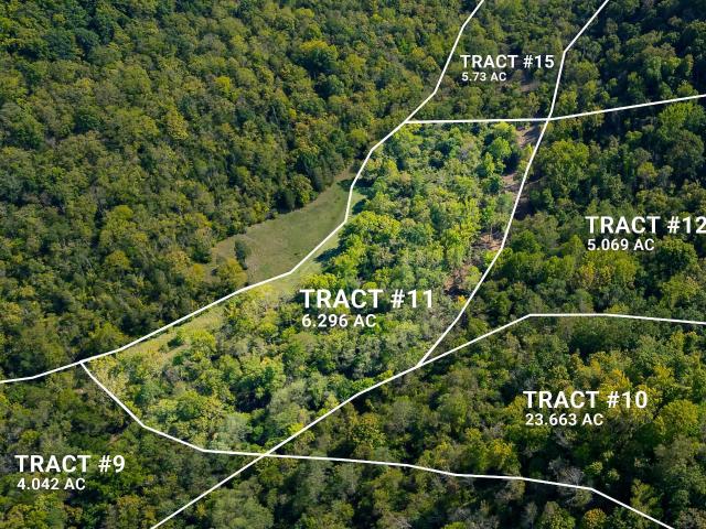 Land for sale in Patriot, Indiana