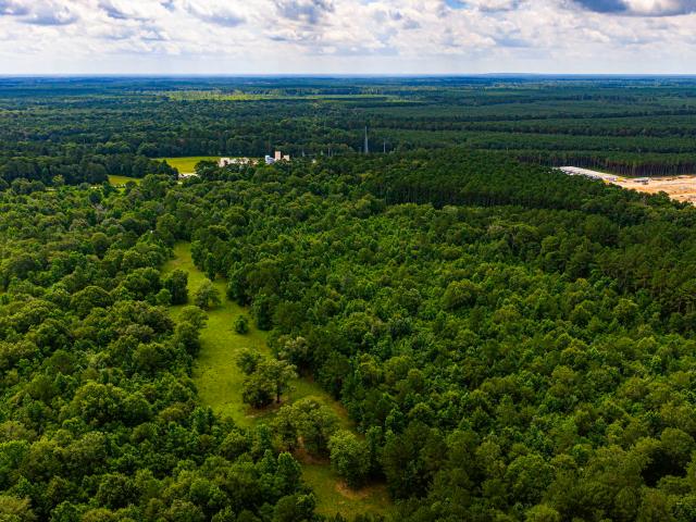 Land for sale in Shepherd, Texas