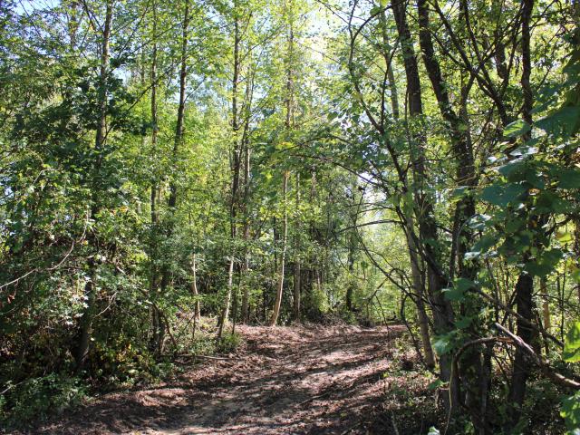 Land for sale in Commiskey, Indiana