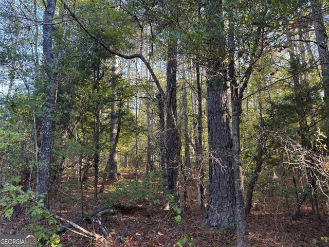 Land for sale in Franklin, Heard County