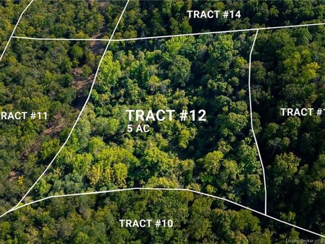 Land for sale in Patriot, Indiana