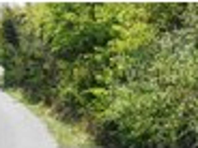 Land for sale in Patriot, Indiana