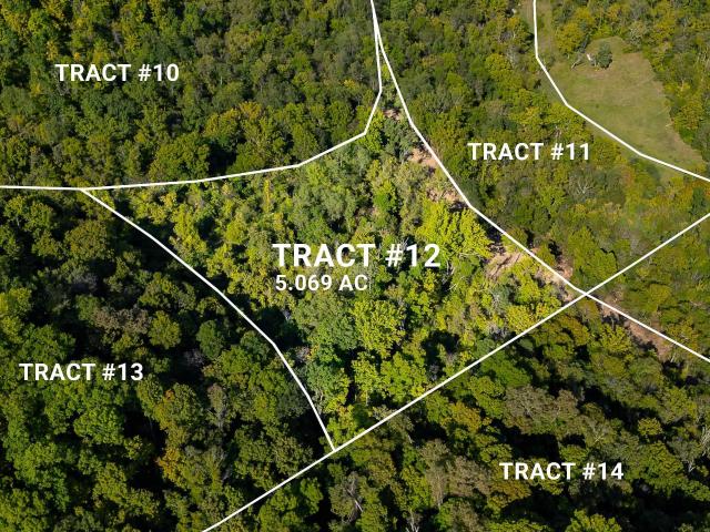 Land for sale in Patriot, Indiana