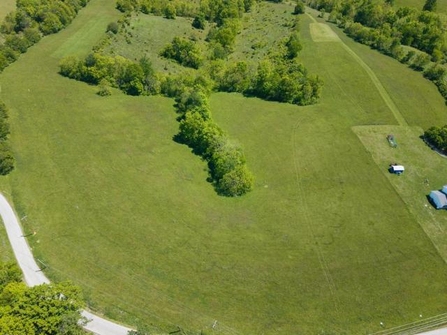 Land for sale in Williamstown, Kentucky